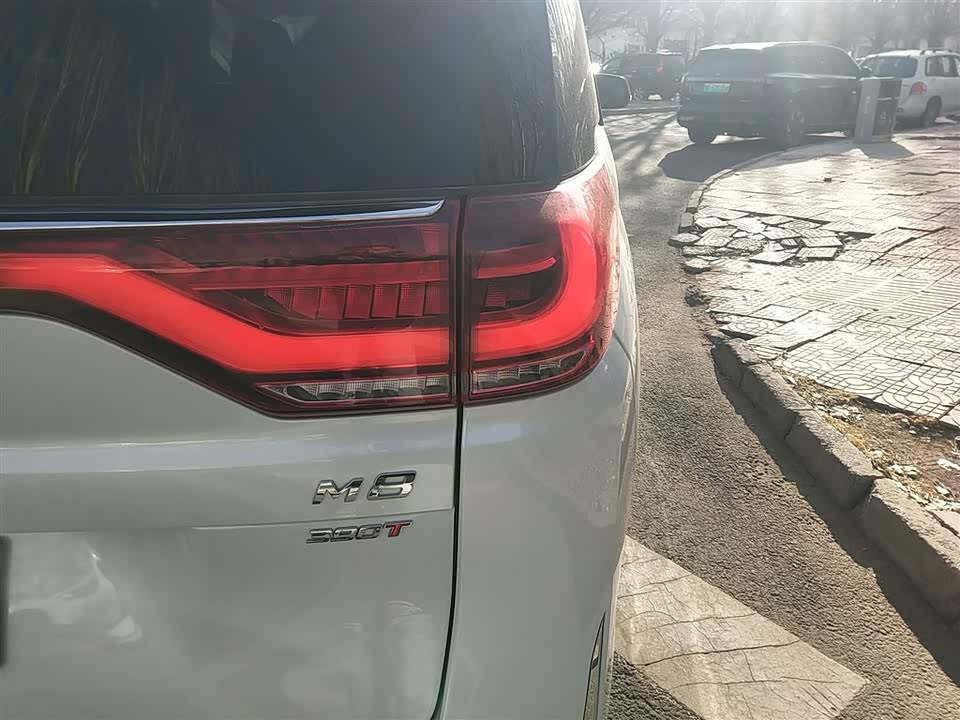 Trumpchi Trumpchi M8