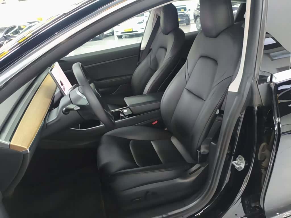 Tesla Model 3, 2020 15