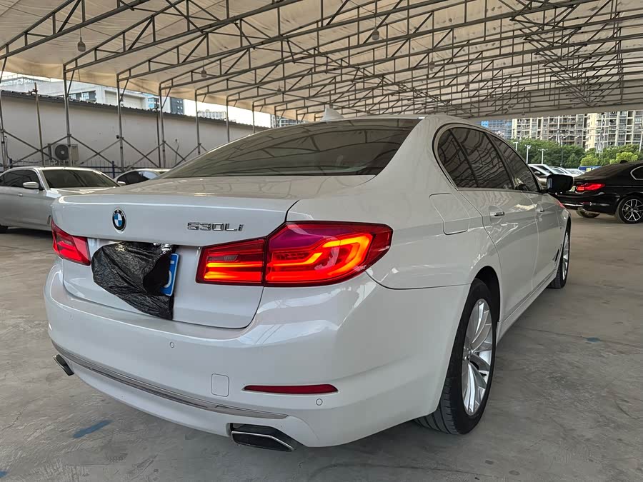 BMW 5 Series 2018, фото 8