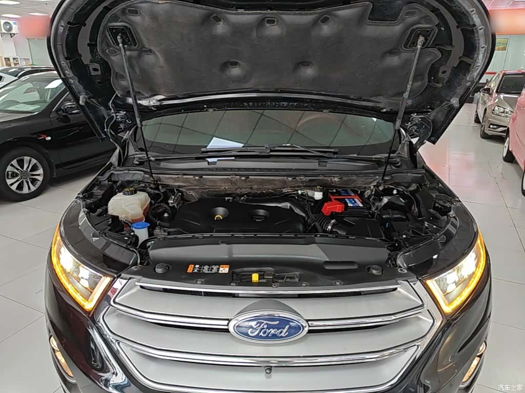 Ford Edge, 2018 20