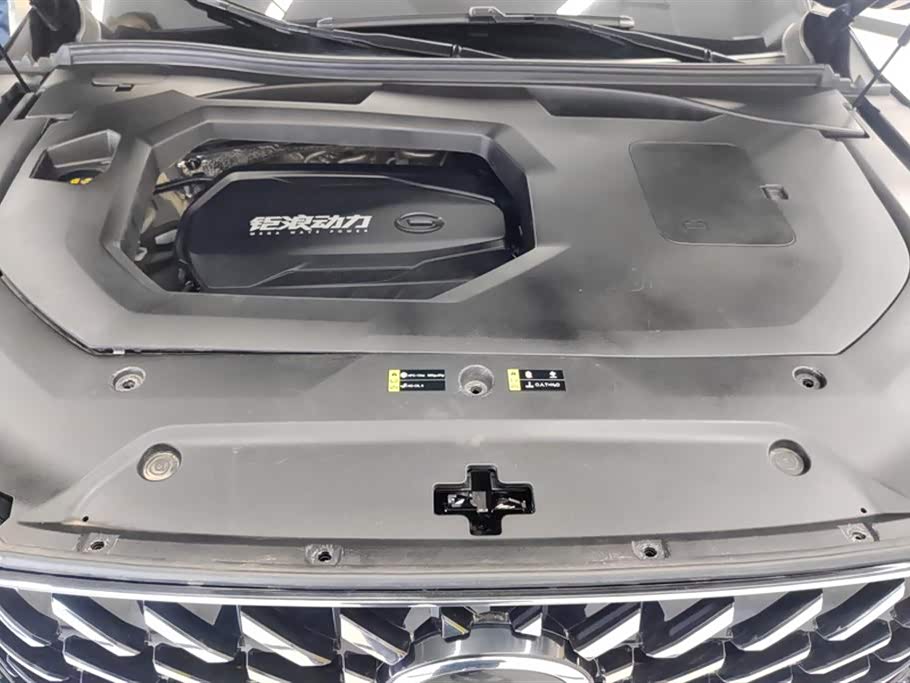 Trumpchi Trumpchi GS8