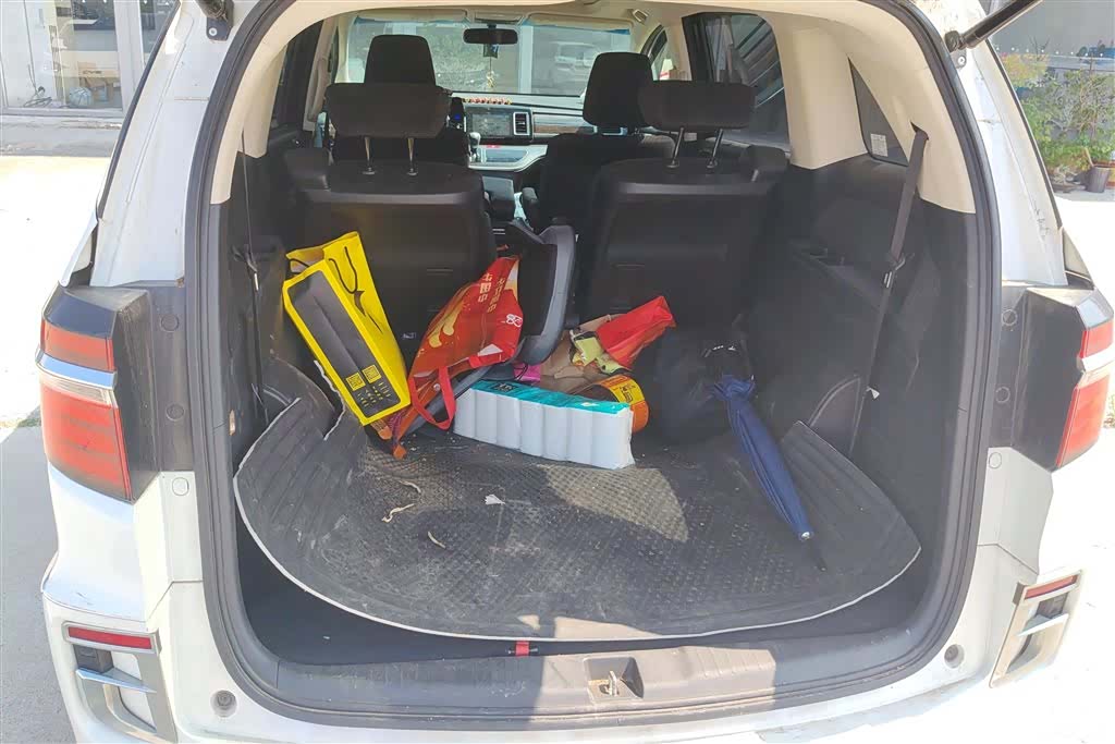 Honda Elysion, 2019 4
