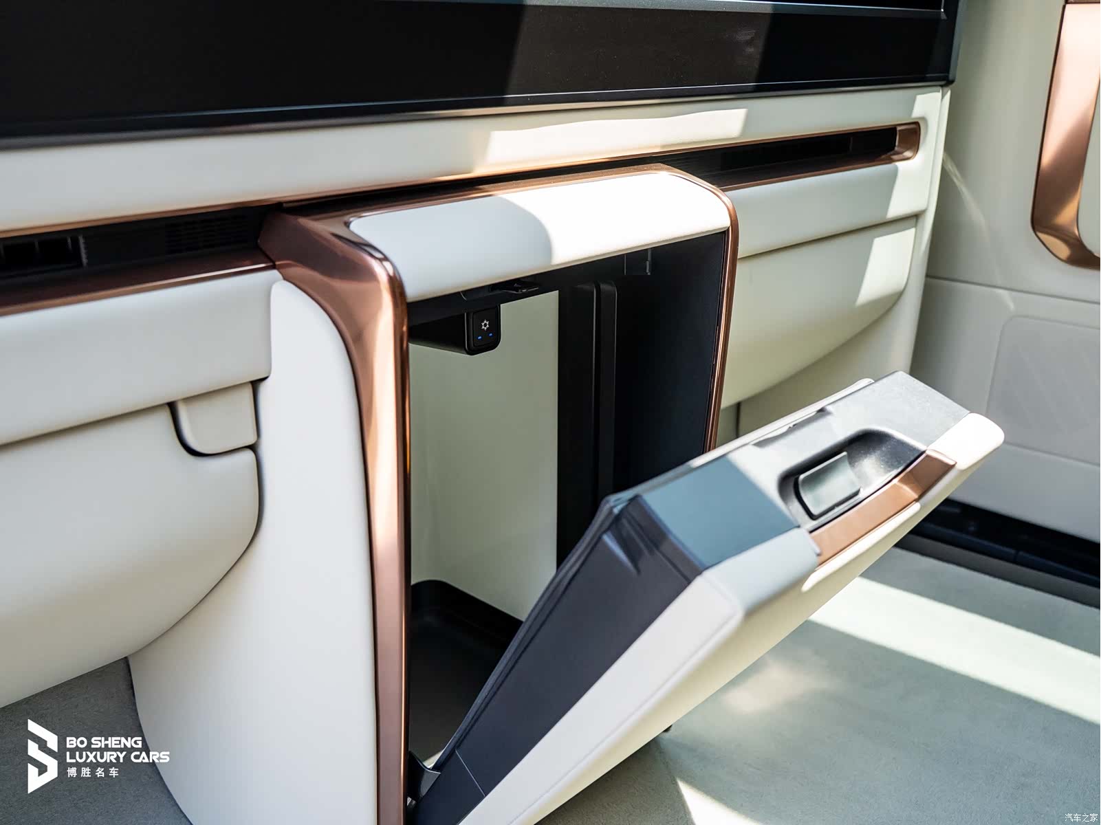Lexus LM, 2025 9