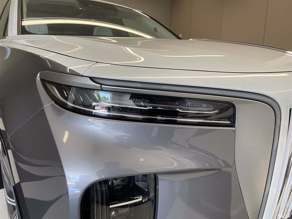 Hongqi E-HS9, 2022 9