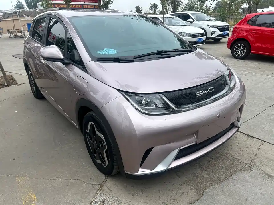 BYD dolphin