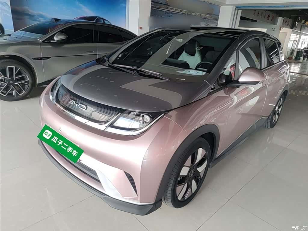 BYD Dolphin, 2021 2