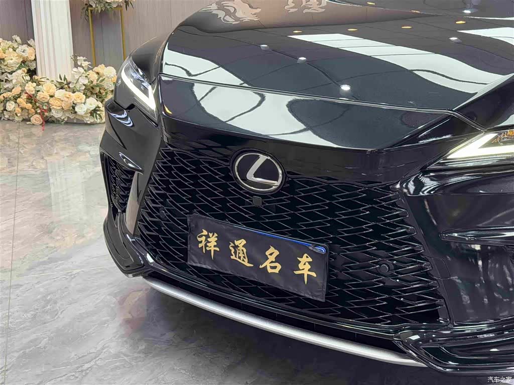 Lexus RX, 2023 23