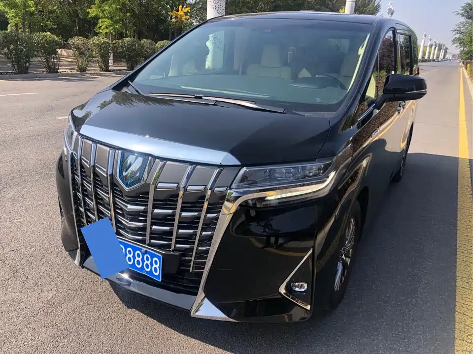 Toyota Elfa