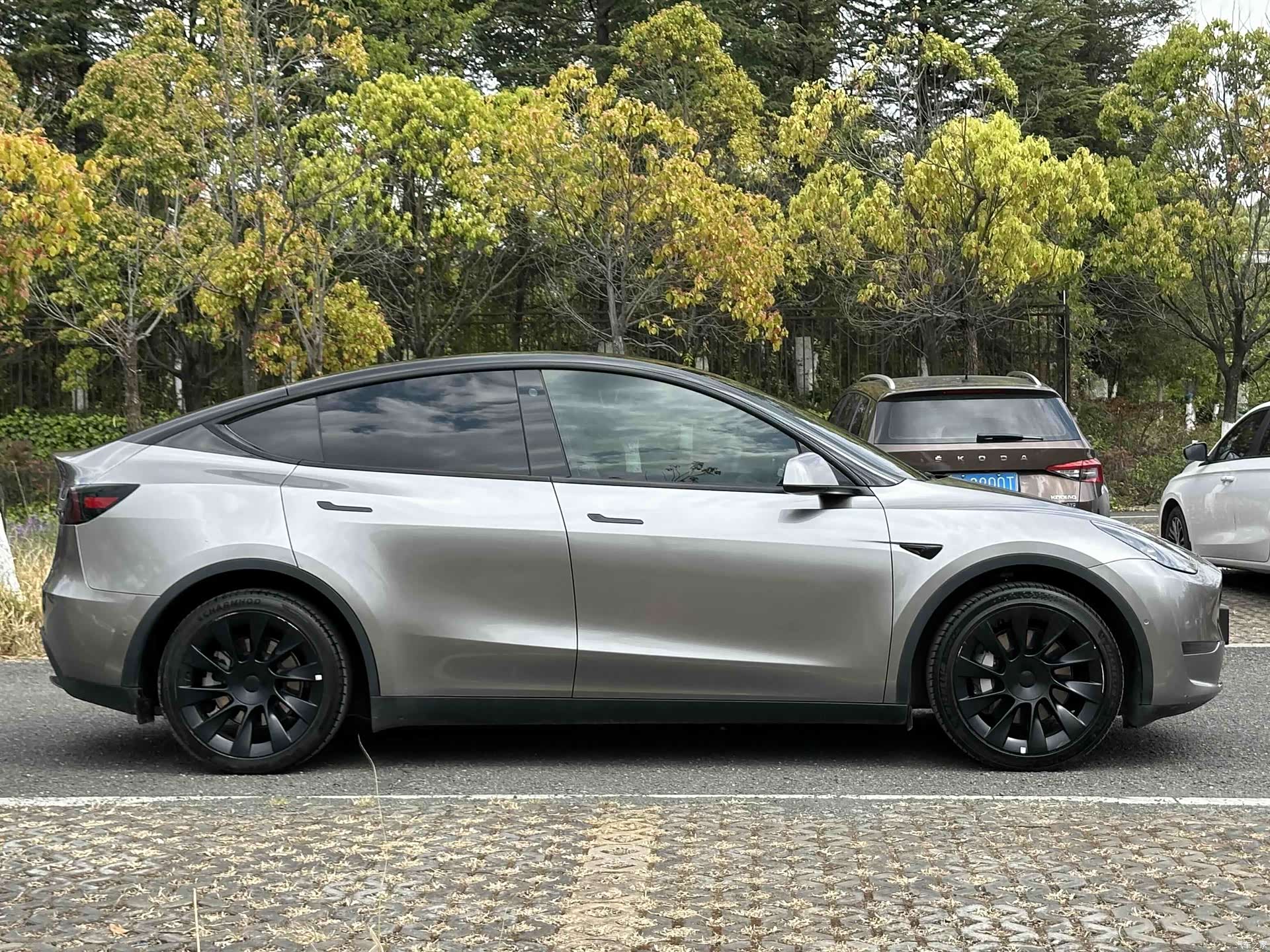 Tesla Model Y, 2023 все фото