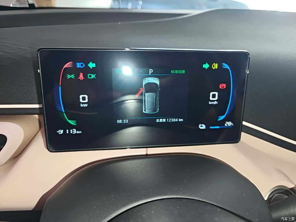 BYD Seagull, 2024 12