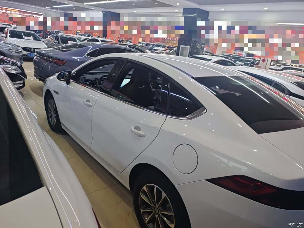 BYD Qin, 2024 все фото