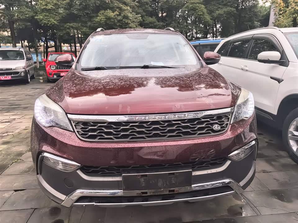 Leopaard Cheetah CS10