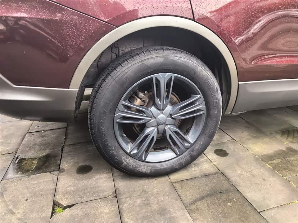 Leopaard Cheetah CS10