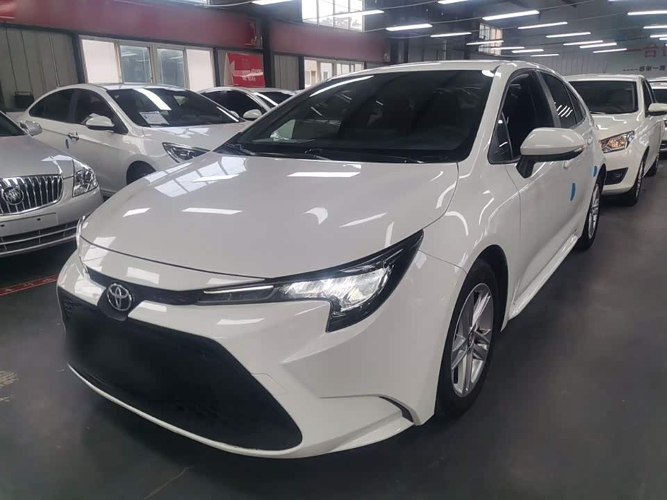 Toyota Lei Ling