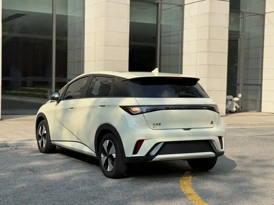 BYD dolphin