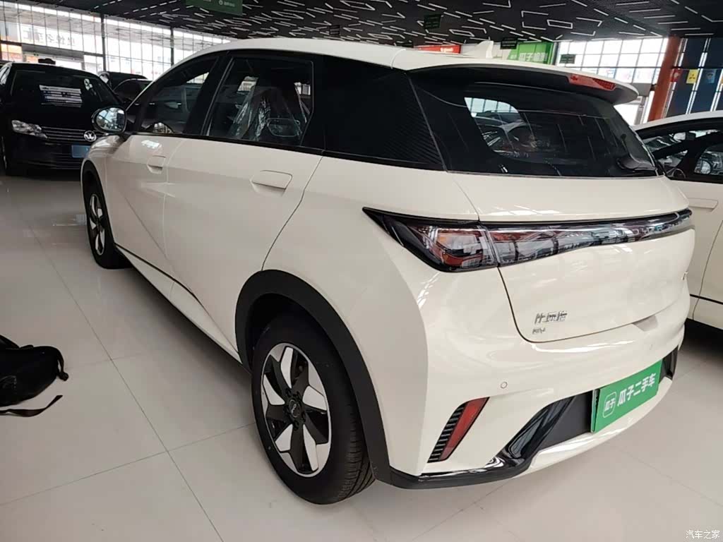 BYD Dolphin, 2026 все фото