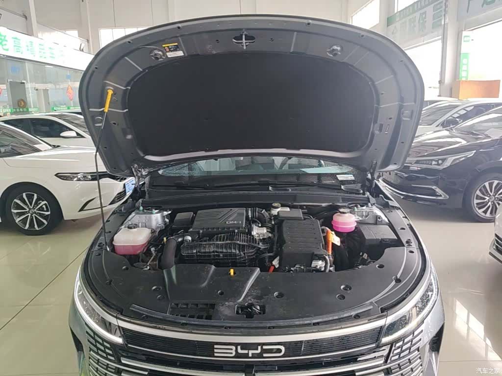 BYD Destroyer 05, 2024 20