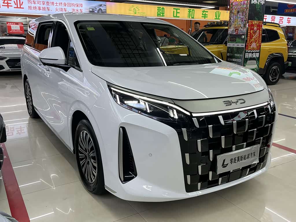 BYD M9