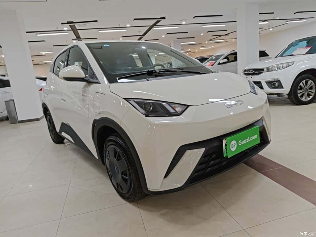 BYD Seagull, 2024 4