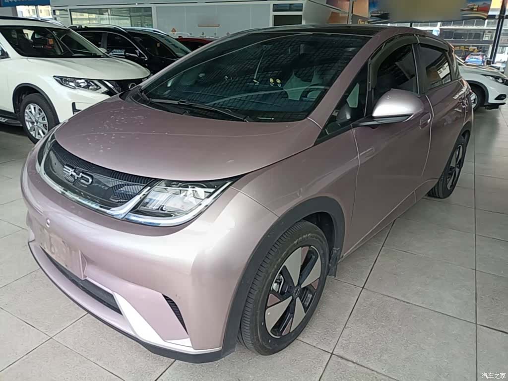 BYD Dolphin, 2024 2