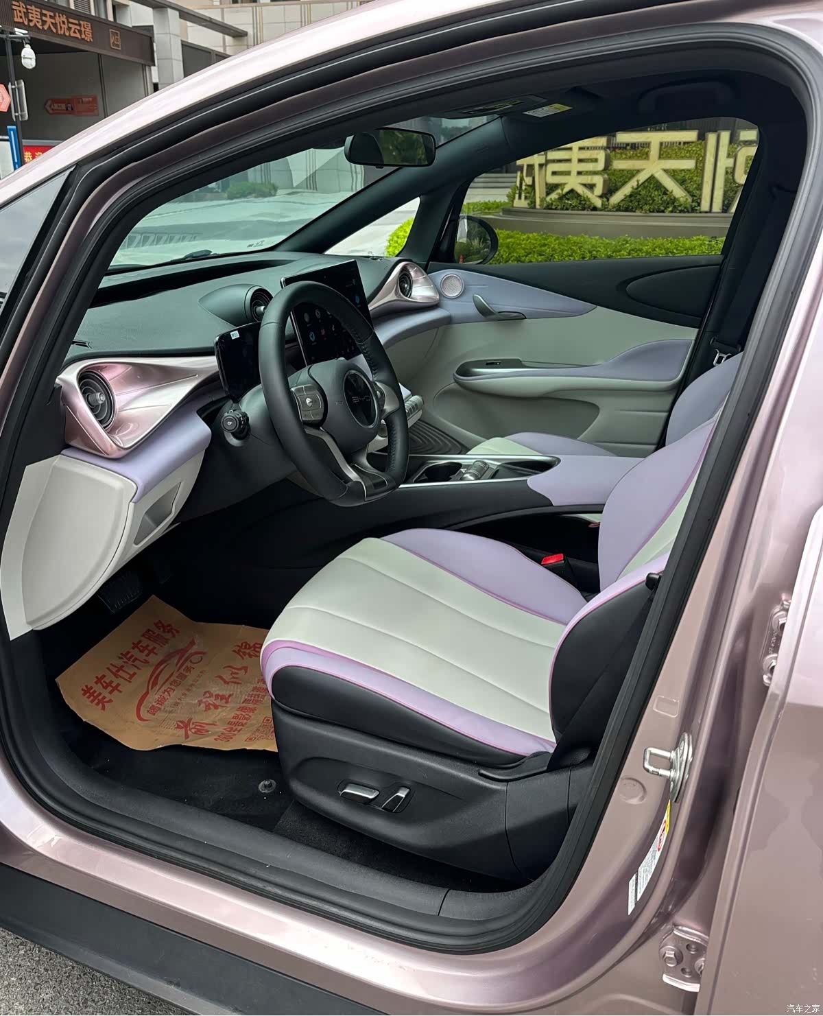 BYD Dolphin, 2022 6