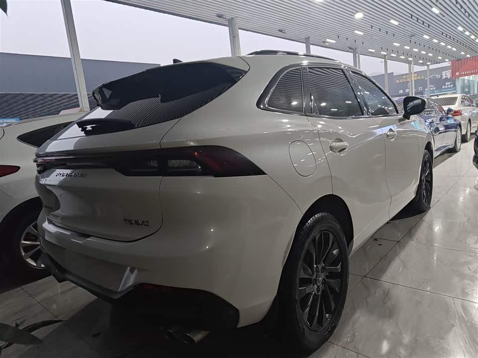 Forthing Popular T5 EVO