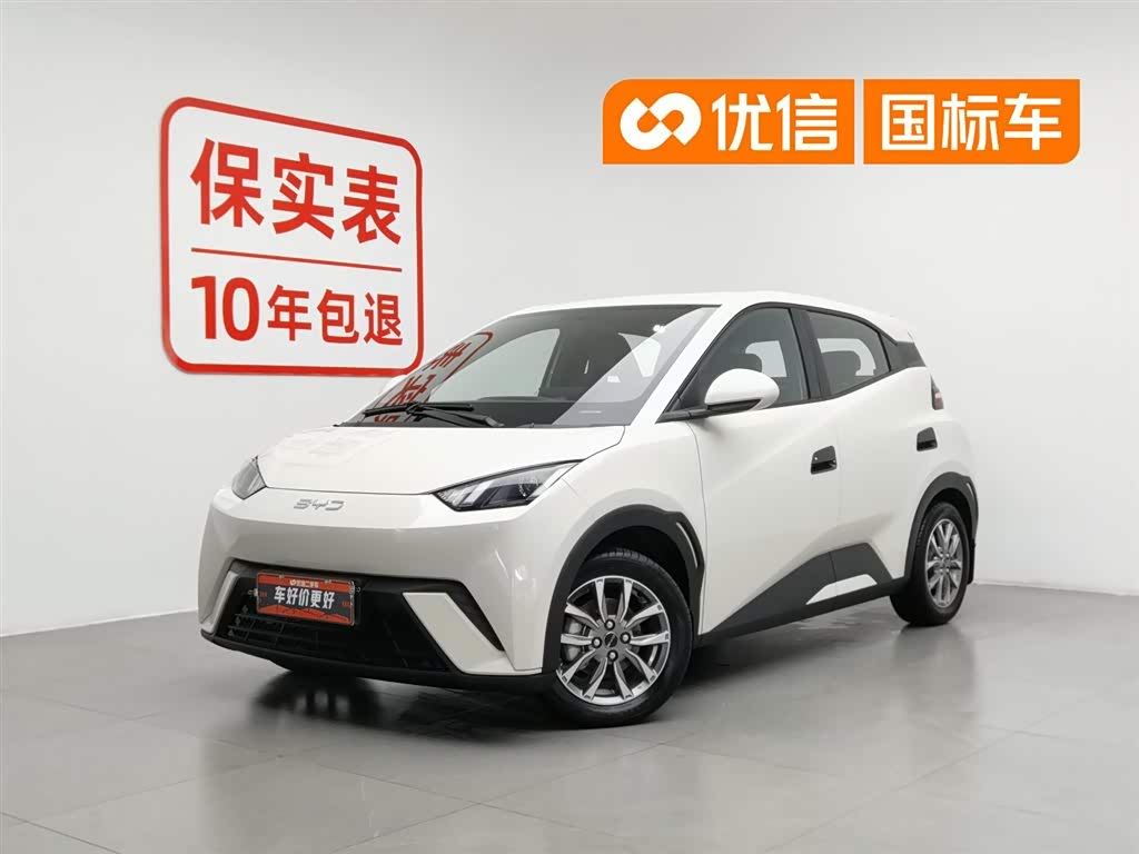 BYD Seagull