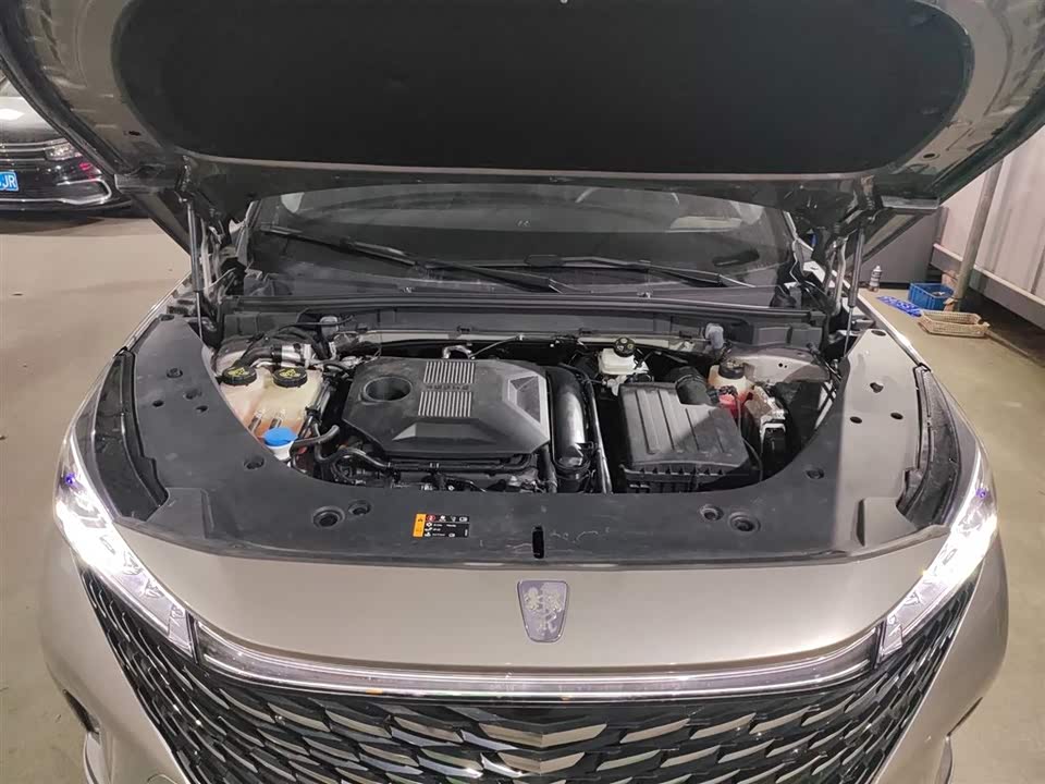 Roewe RX5 New energy
