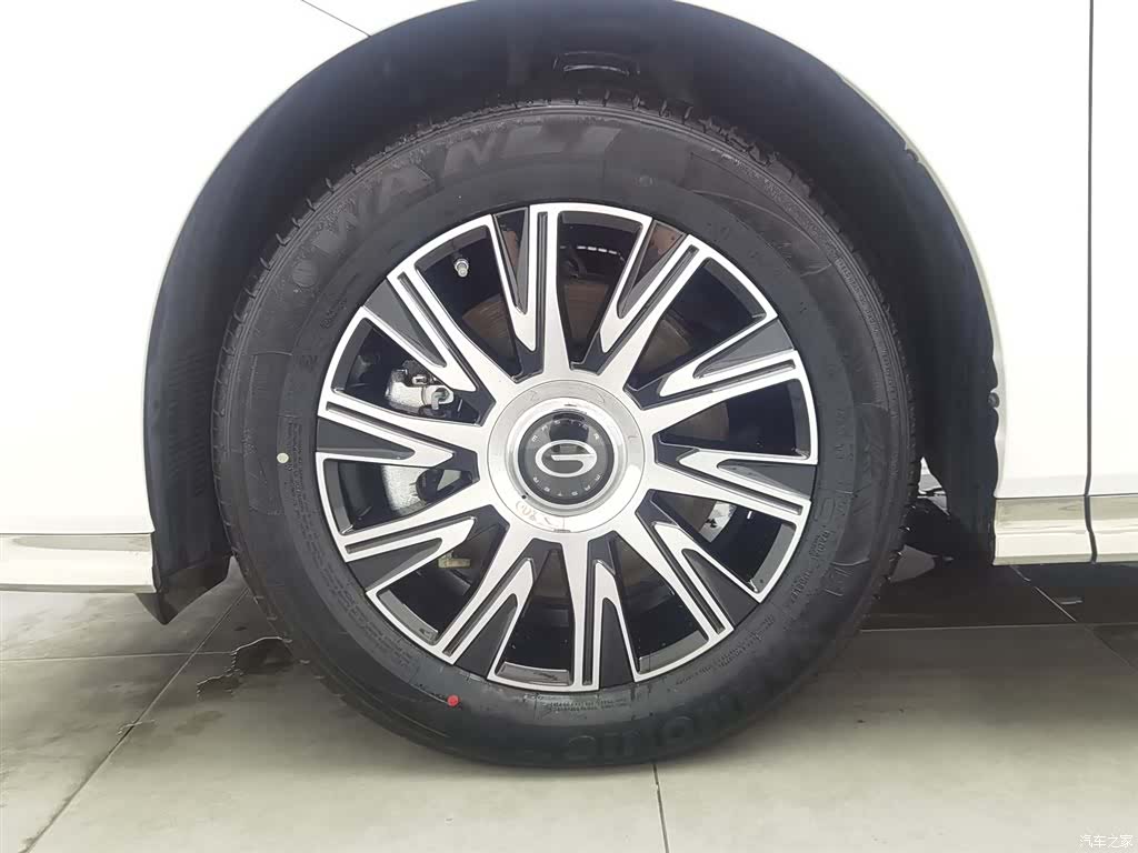Trumpchi E9, 2025 17