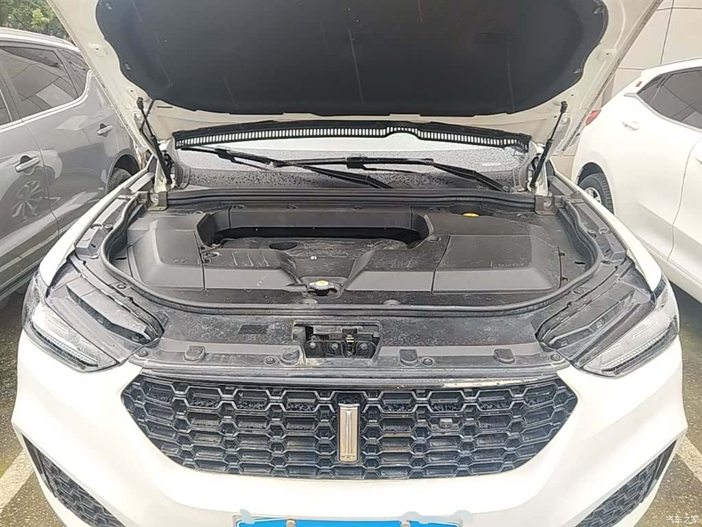 WEY VV6, 2019 20