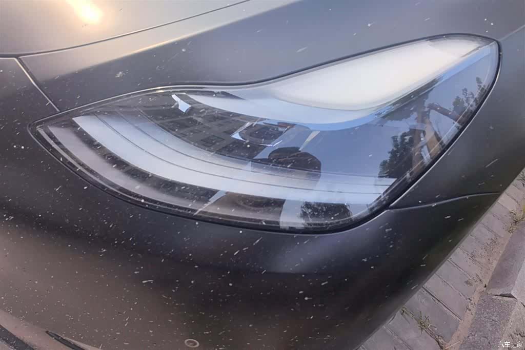 Tesla Model Y, 2024 все фото