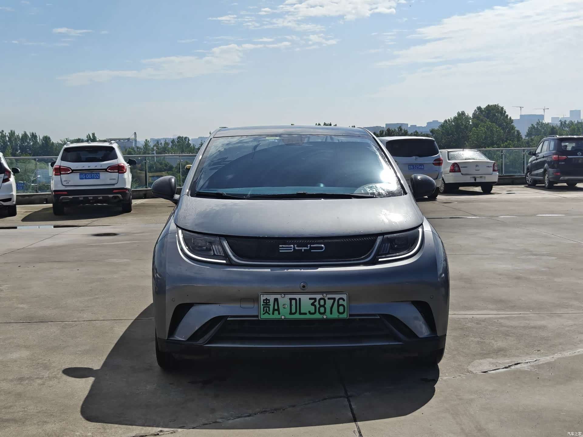 BYD Dolphin, 2024 2
