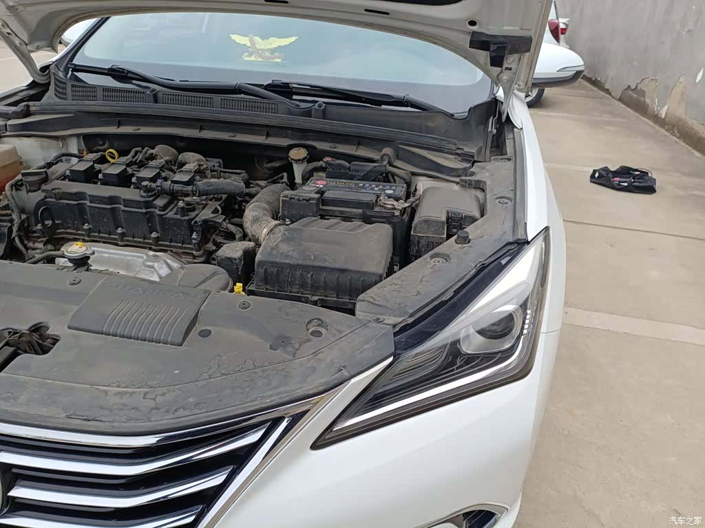 Changan Eado, 2020 15