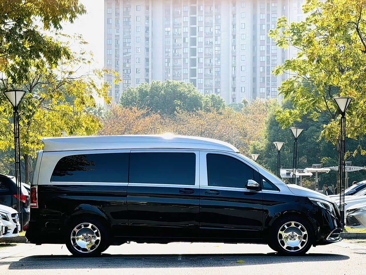 Mercedes-Benz V-Class, 2019 9