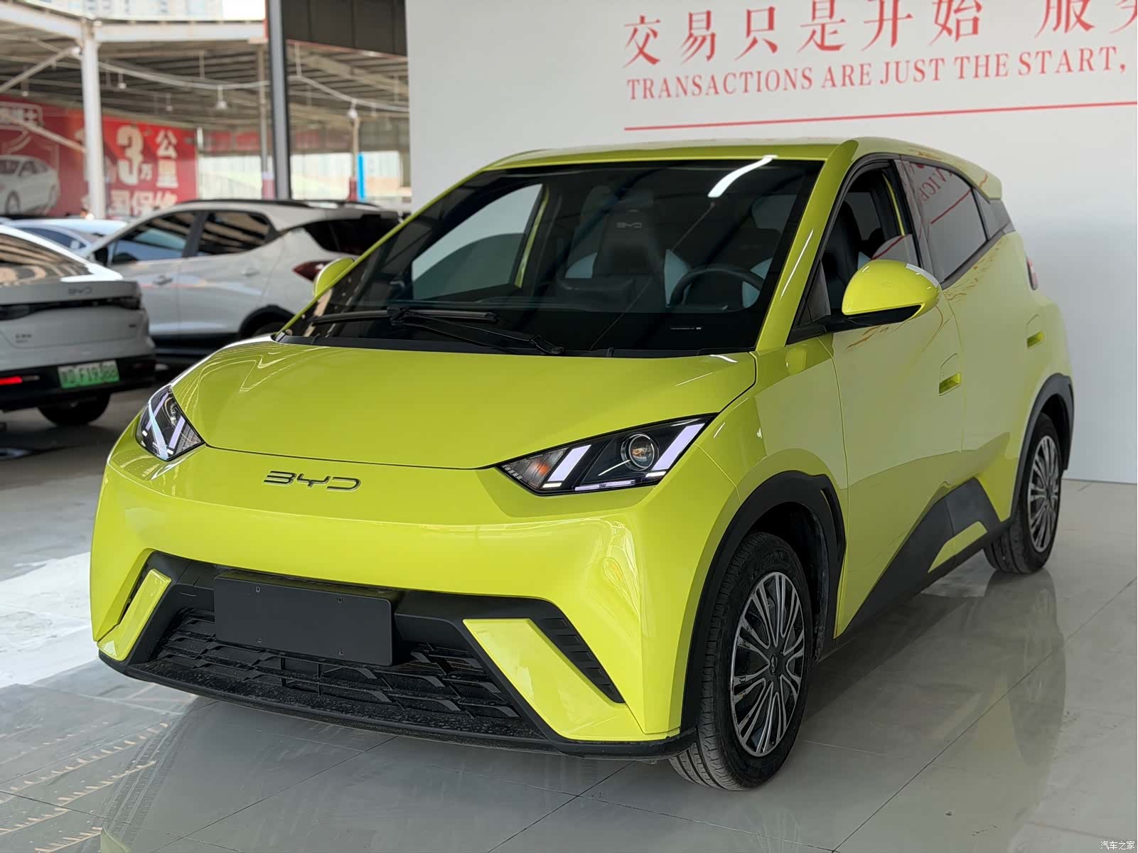BYD Seagull, 2023 1