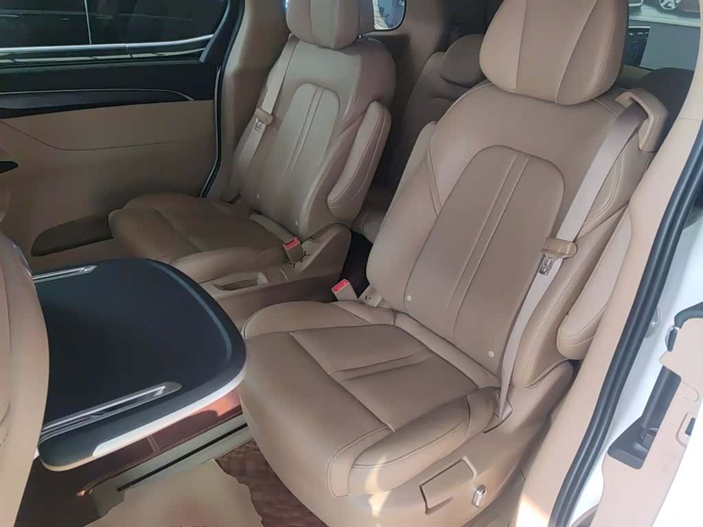 Buick GL8, 2020 13