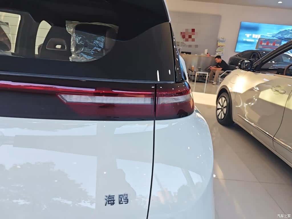 BYD Seagull, 2026 8