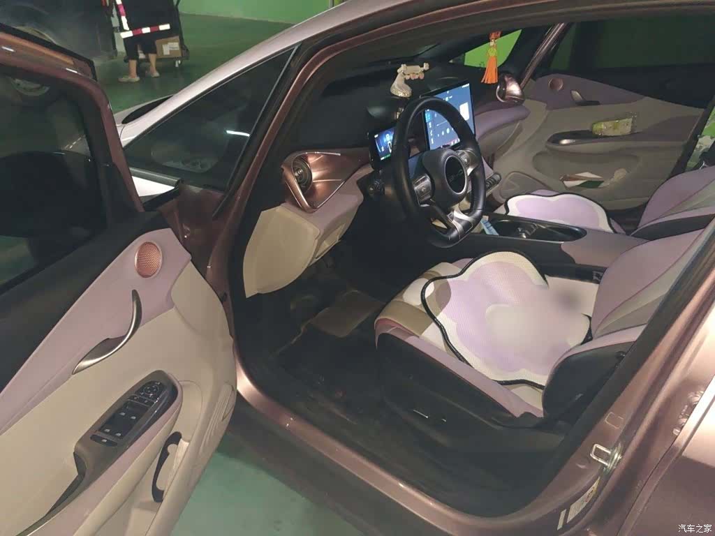 BYD Dolphin, 2023 14