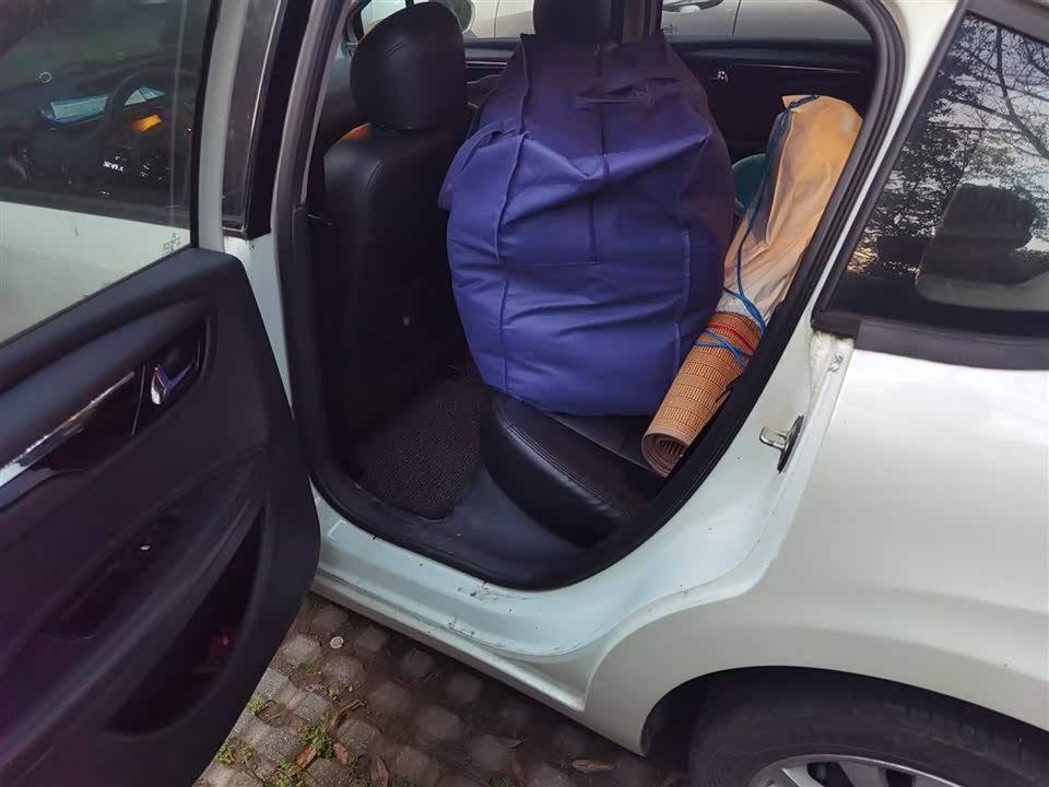 Citroen Sega