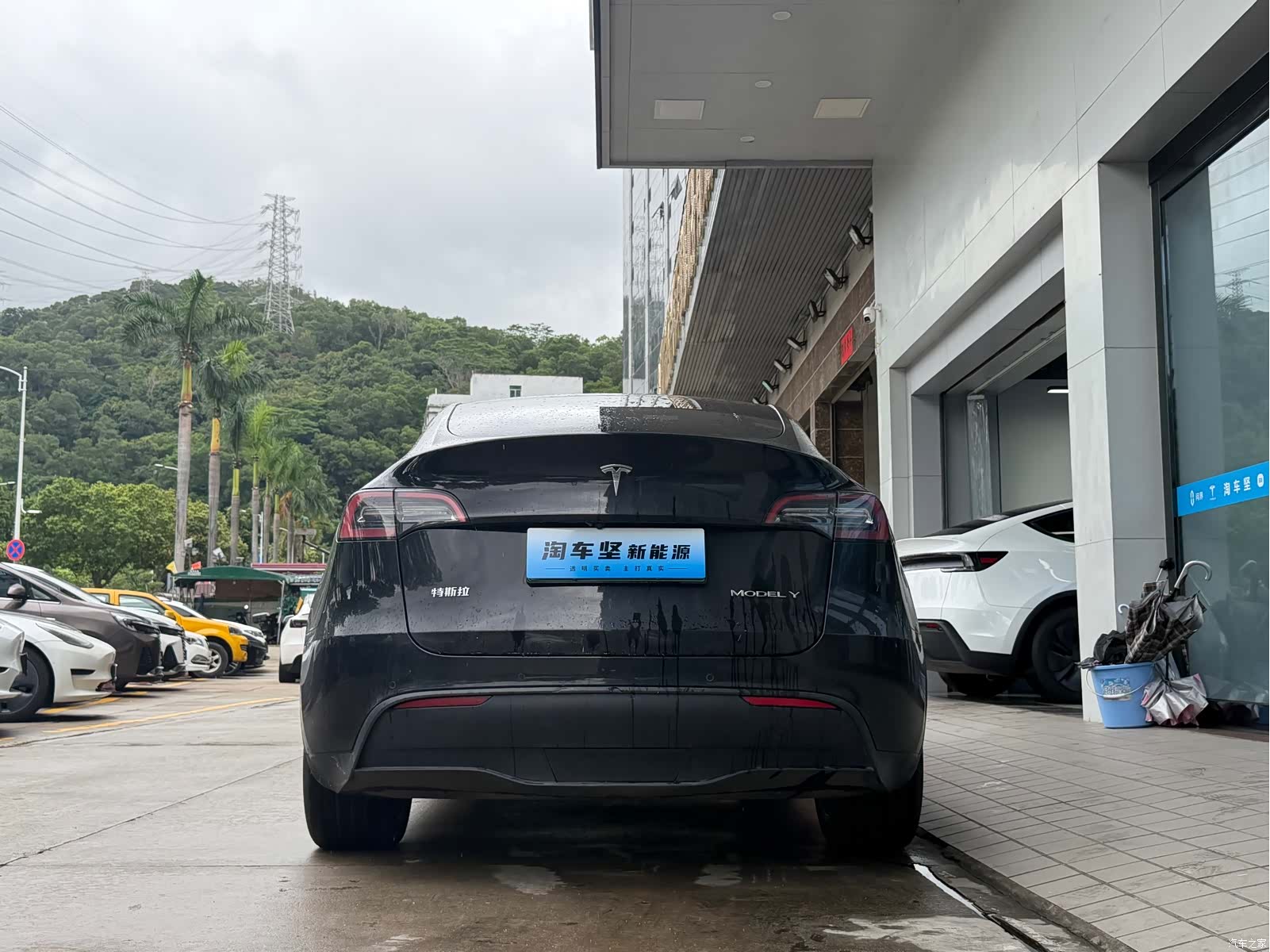 Tesla Model Y, 2023 все фото