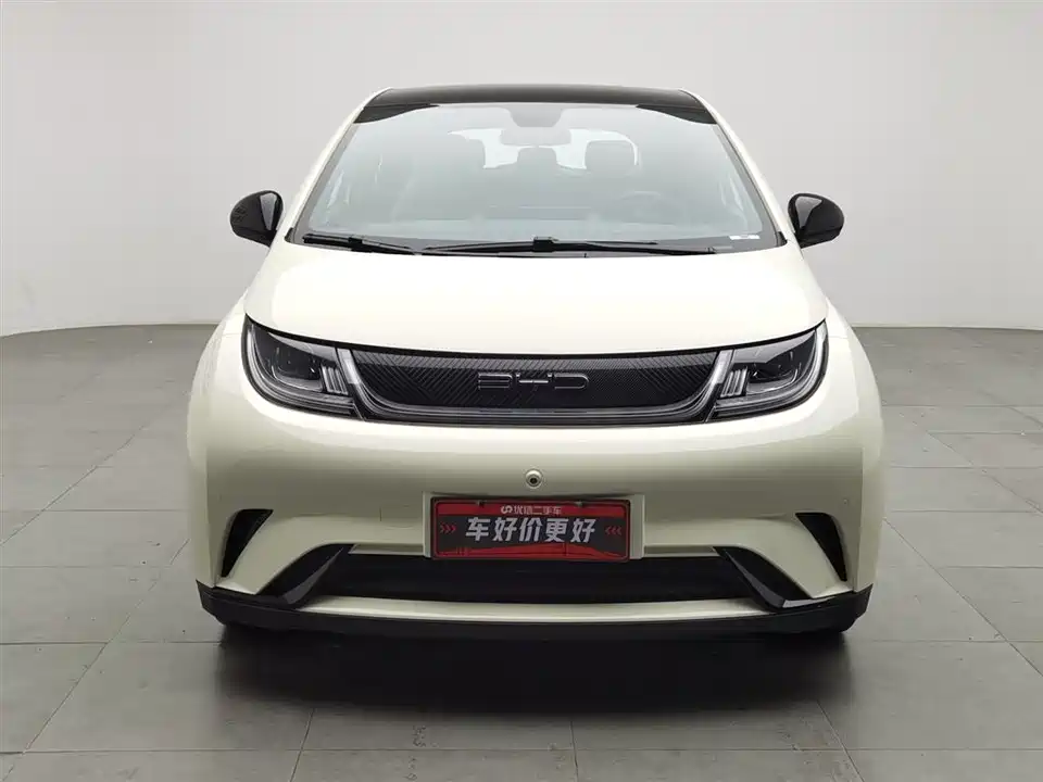 BYD dolphin
