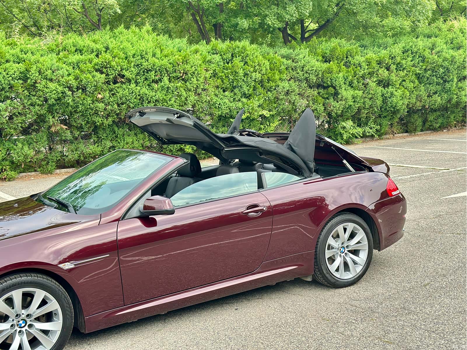 BMW 6 Series, 2011 11