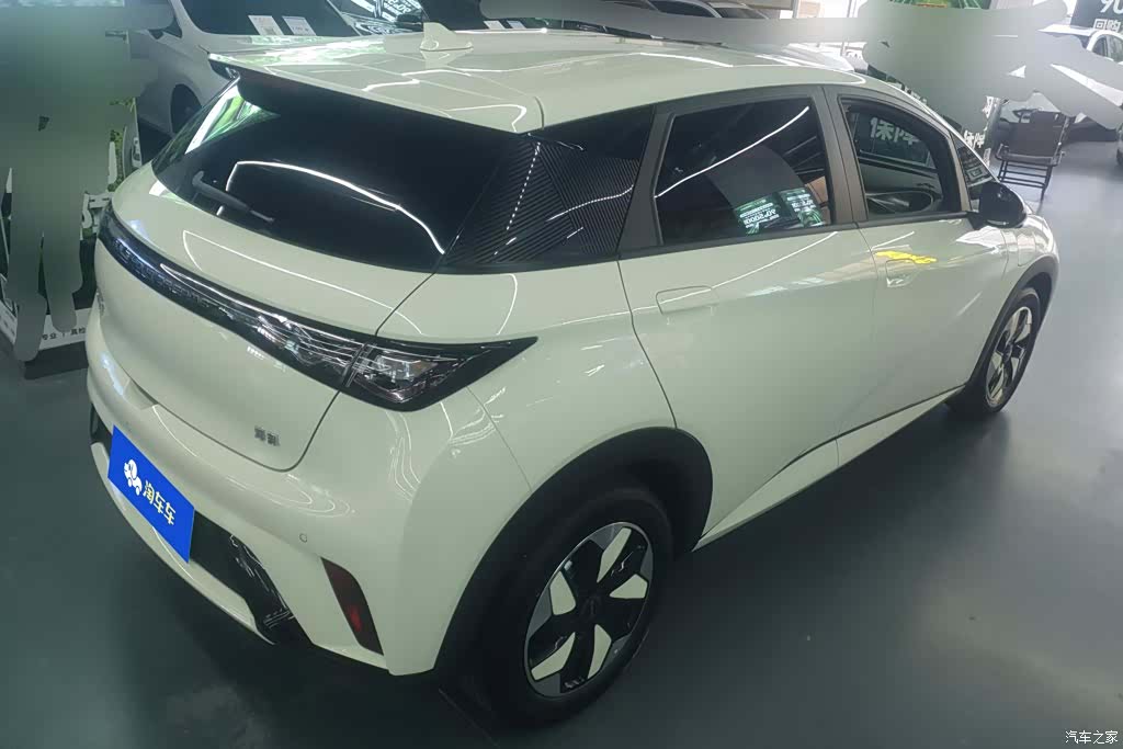 BYD Dolphin, 2026 3