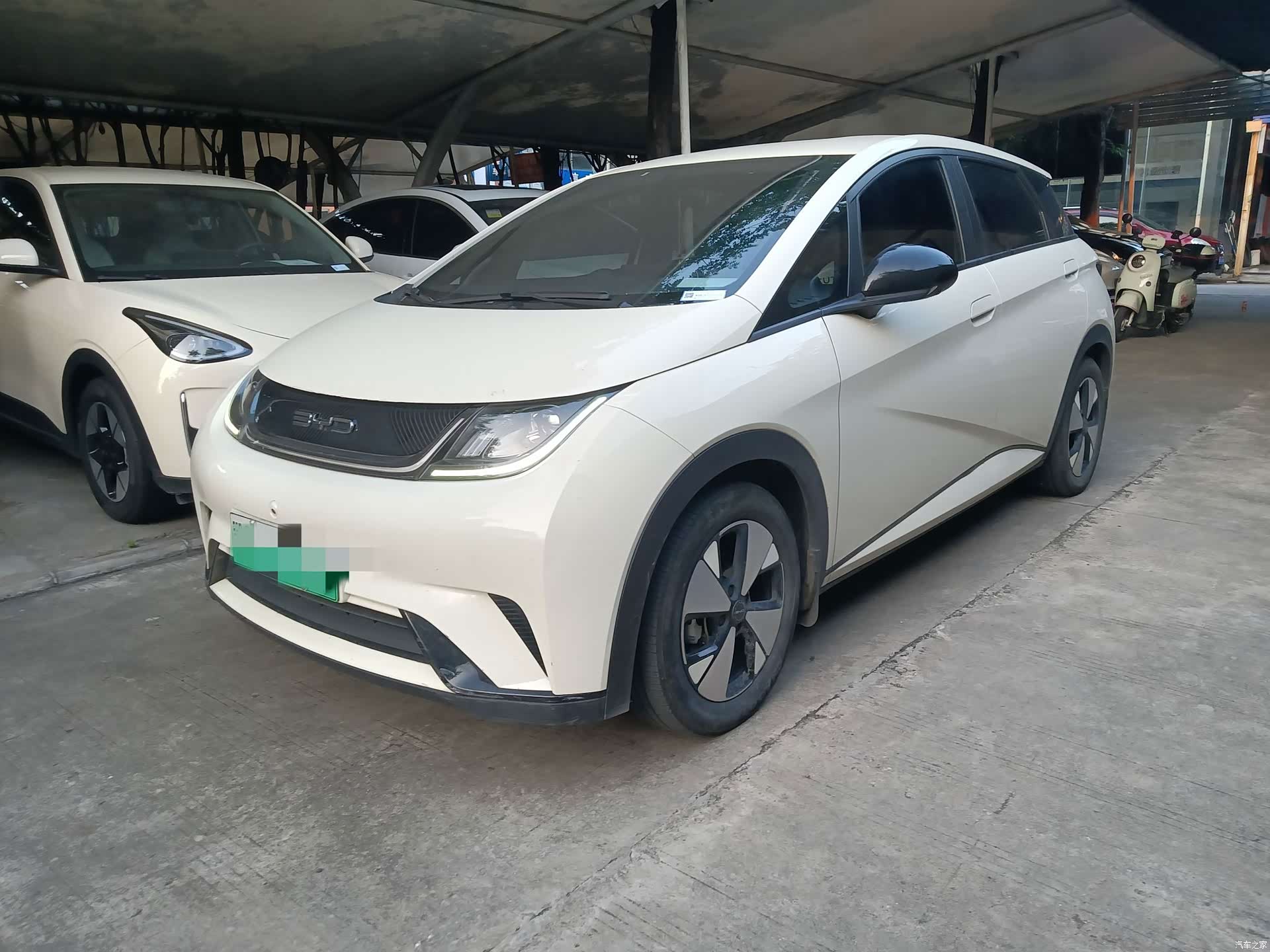 BYD Dolphin, 2023 1