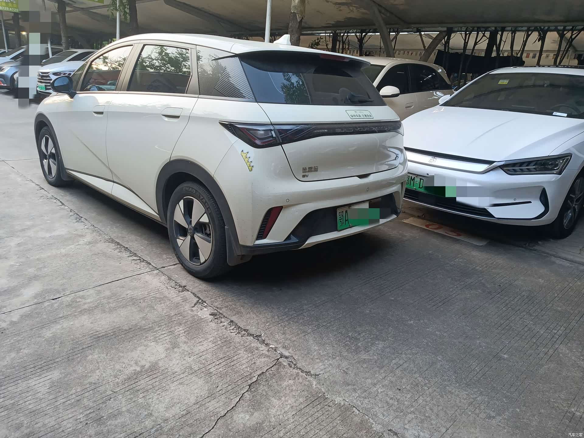 BYD Dolphin, 2023 11