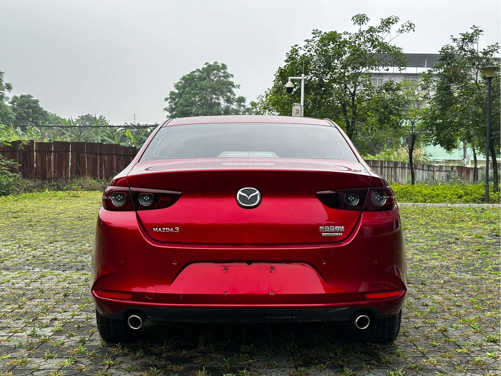 Mazda Mazda3, 2019 все фото