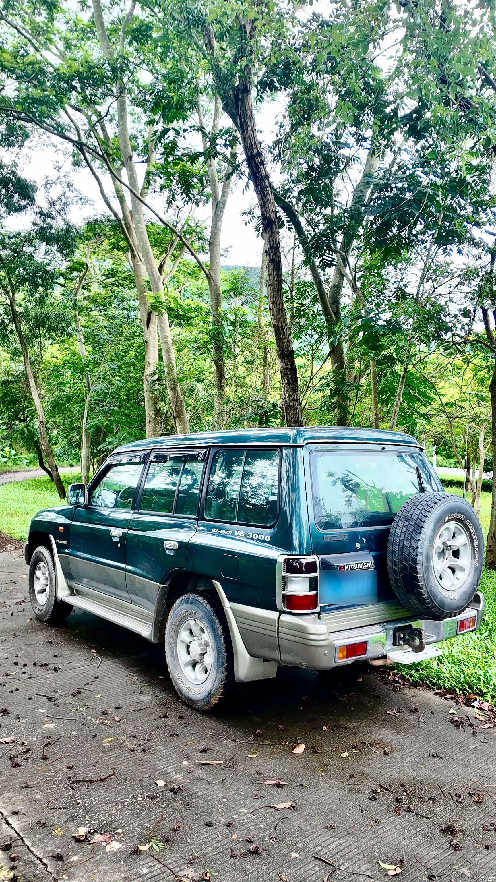 Mitsubishi Pajero, 1996 59