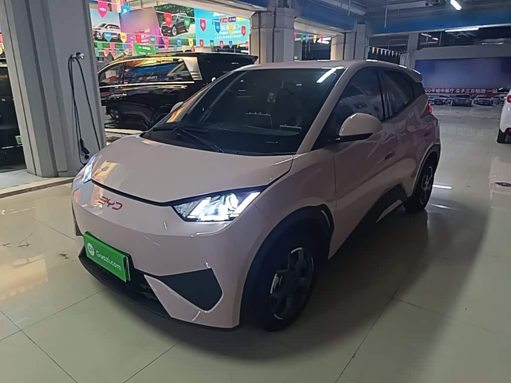 BYD Seagull