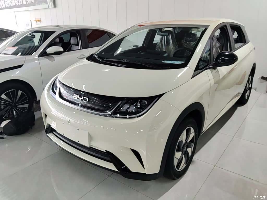 BYD Dolphin, 2026 1