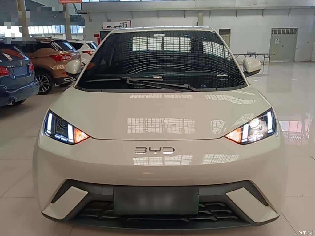 BYD Seagull, 2024 3